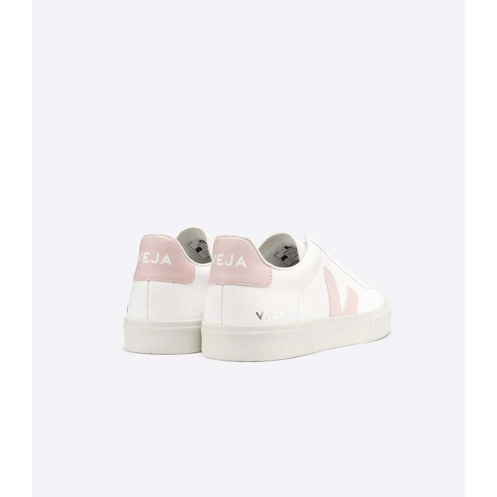 Women's Veja CAMPO CHROMEFREE Low Tops Sneakers White/Pink | ZA 463KOR